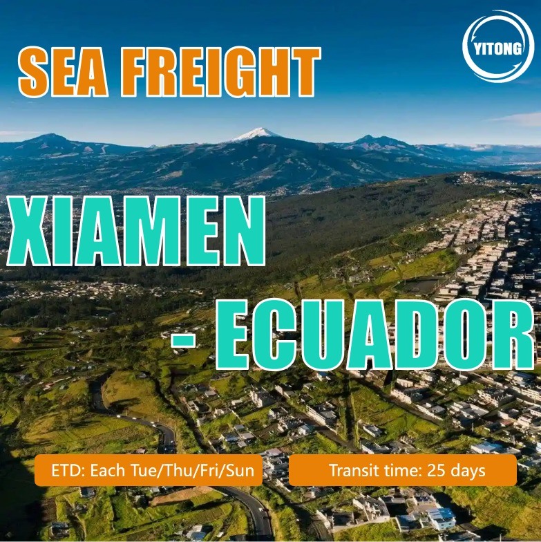 Sea Shipping From Xiamen To Ecuador